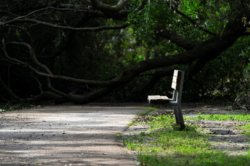 bench in the park