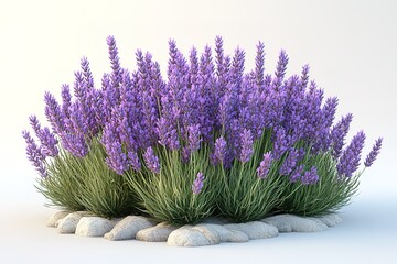 A purple bush with purple flowers