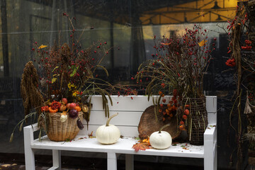 orange pumpkins in close-up on a white bench, yellow leaves, autumn colors