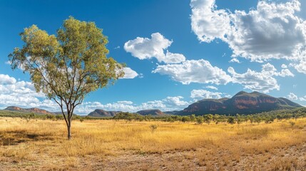 Obraz premium Expansive Australian Landscape under Bright Blue Sky