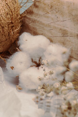 Cotton between coconut wood, shell and gypsophila