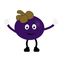 Funny Mangosteen Fruit Character with Emotions