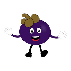 Funny Mangosteen Fruit Character with Emotions