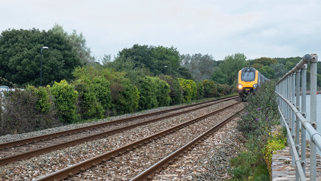 Fototapeta An express train speeding between a verdant trackside and the waters of the river Exe in east Devon UK