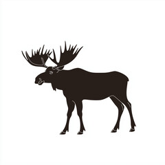 Naklejka premium Silhouette of a moose with large antlers