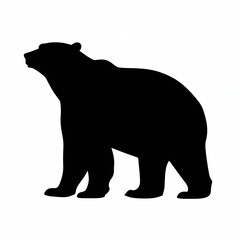 Fototapeta premium Silhouette of a polar bear standing