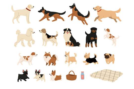 Illustration showcases a diverse dog clipart collection, featuring Labrador Retriever, German Shepherd, Golden Retriever, French Bulldog, Beagle, Pug, Corgi and more. Illustrated in various poses.