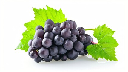 Fototapeta premium Picturesque Kyoho Grape Collection: Isolated Bunch of Luscious Black Grapes with Leaves on White Bac