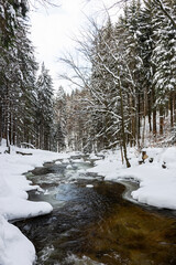 Stunning Winter Scene: Flowing Water With Snowy River Bank by Snowy Coniferous Forest - Embracing the Tranquility of a Serene Winter Wonderland