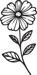 This is an illustration of flowers in a simple and modern line art style. 
