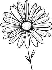 This is an illustration of flowers in a simple and modern line art style. 