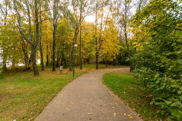 Forest footpath in autumn