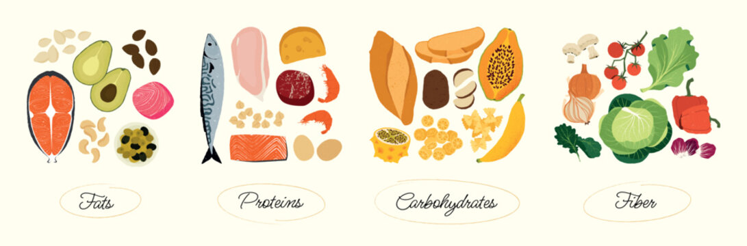 Macronutrients food groups. Cartoon balanced meal with proteins carbs and fats, healthy nutrition with complex proteins and fats. Vector isolated set
