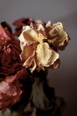 Dried flowers in a glass vase. Concept of dry skin, mental health problems, emotional burnout, dehydration. Lack of clean water and the environmental consequences of global warming.