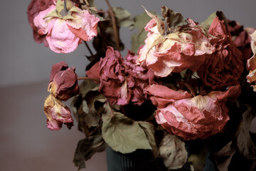 Dried flowers in a glass vase. Concept of dry skin, mental health problems, emotional burnout,...