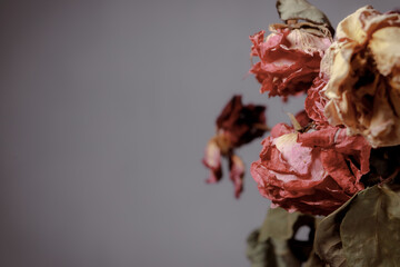 Dried flowers in a glass vase. Concept of dry skin, mental health problems, emotional burnout, dehydration. Lack of clean water and the environmental consequences of global warming.