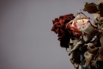 Dried flowers in a glass vase. Concept of dry skin, mental health problems, emotional burnout,...