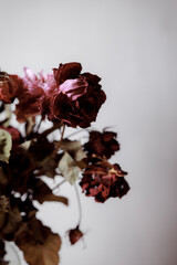 Dried flowers in a glass vase. Concept of dry skin, mental health problems, emotional burnout, dehydration. Lack of clean water and the environmental consequences of global warming.