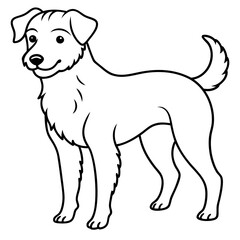 black and white puppy