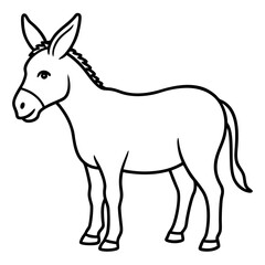 donkey isolated on white background