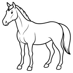 horse illustration