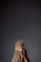 Dried cactus in a clay pot. Concept of dry skin, mental health problems, emotional burnout, dehydration. Lack of clean water and the environmental consequences of global warming.