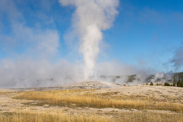 Steam emitting from Old Faithful on a cold fall day in Yellowstone National Park