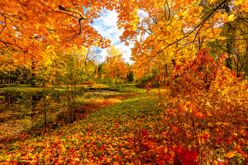 Catherine park in autumn, Tsarskoe Selo (Pushkin), Saint Petersburg, Russia