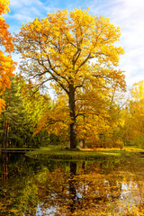 Catherine park in autumn, Tsarskoe Selo (Pushkin), Saint Petersburg, Russia