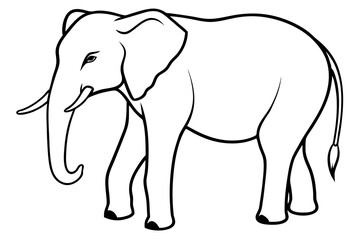 elephant line art silhouette vector illustration