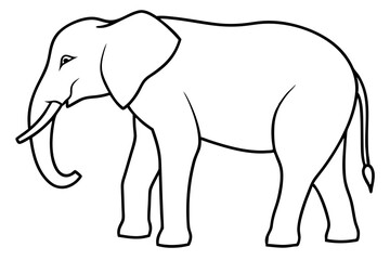 elephant line art silhouette vector illustration
