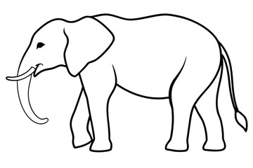elephant line art silhouette vector illustration