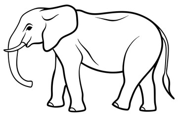 elephant line art silhouette vector illustration