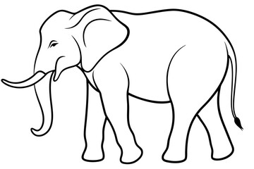 elephant line art silhouette vector illustration