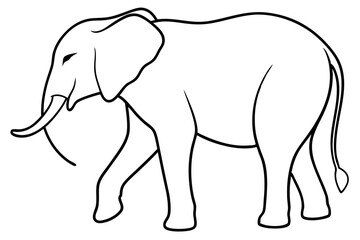 elephant line art silhouette vector illustration