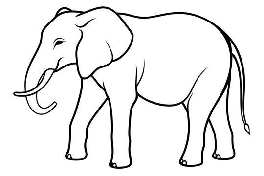 elephant line art silhouette vector illustration