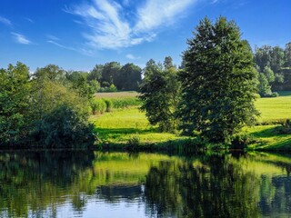 Shore of a small lake with trees