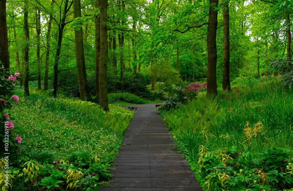 Sticker Spring flower park with green grass, trees and blooming flowers