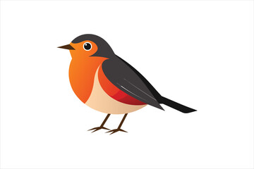  Robin bird different style vector artwork illustration.