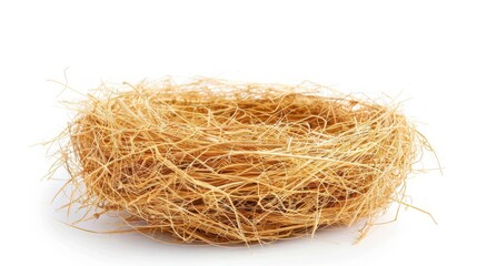 Empty Bird Nest Isolated on White Background for Nature and Wildlife Illustrations