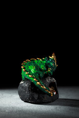 A green dragon with golden spikes sitting on a large stone. Figurine of the symbol of 2025. Dark...