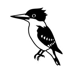 Obraz premium Black and White Kingfisher Bird Illustration
