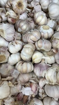 Closeup shot pile of white garlic or Allium sativum display on market stall