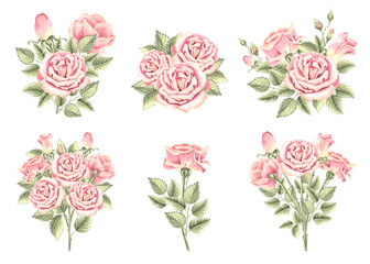 Collection of rose flowers with buds and green leaves. Set of spring bouquets. Watercolor hand drawn illustrations isolated. Blooming garden plant. Clipart for postcard, wedding, sticker, Valentines.