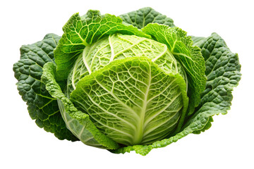Obraz premium Cabbage isolated on a transparent background.
