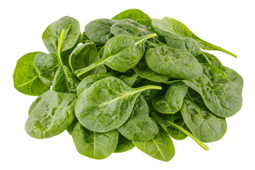 Fototapeta premium Fresh green spinach leaves piled together isolated on transparent background, png