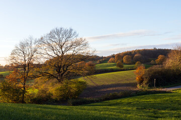 Fototapeta premium Schöne Hügel Landschaft mit Wald und Feldern im Herbst. 