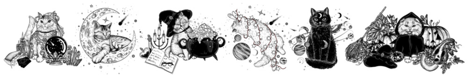 Vector set of 6 magical cats. With a cauldron of potions, in space, in the center of the galaxy, on the moon, a fortune-telling cat with a magic bullet, in a hood among carved pumpkins © Viktoriia Holovko