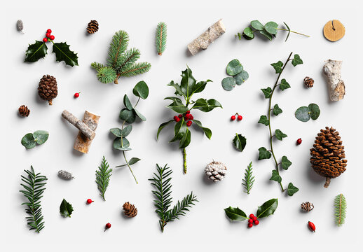 Winter Botanical with Pinecones and Greenery Scene Creator