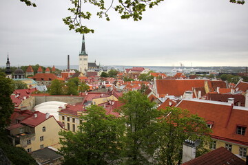 Tallinn Estonia 05 27 2022 . red tile roofs of Tallinn